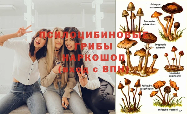 амфетамин Алексеевка